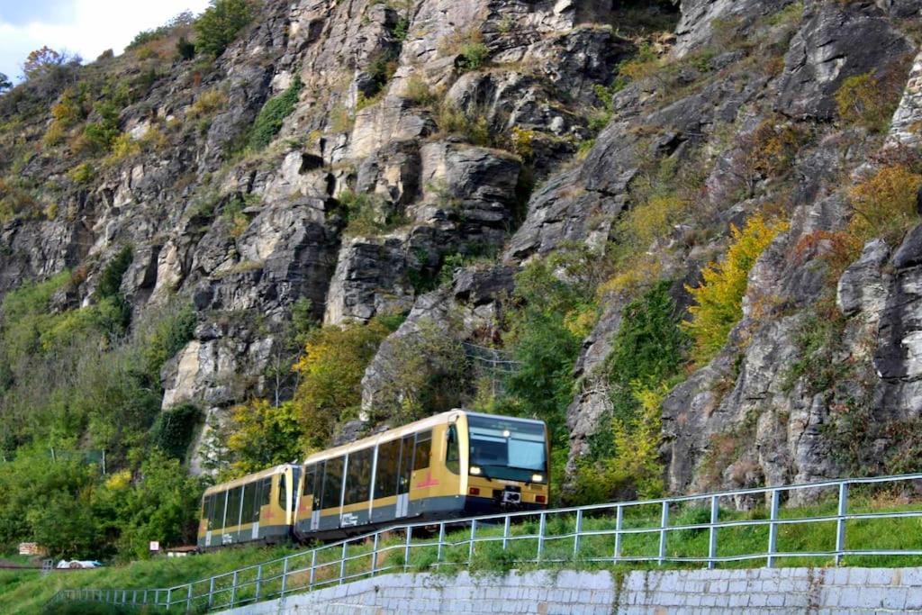 شقة Haus-Donau In Der Wachau Aggsbach المظهر الخارجي الصورة