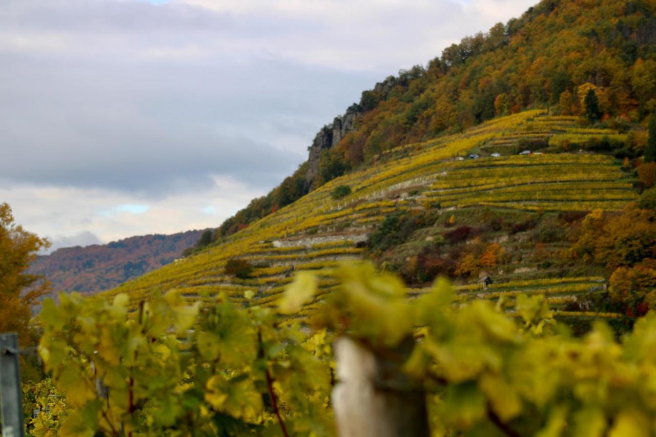 شقة Haus-Donau In Der Wachau Aggsbach المظهر الخارجي الصورة