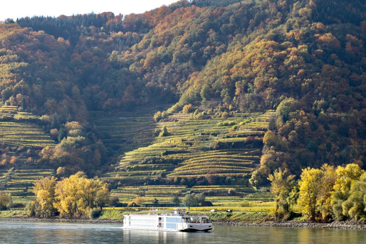 شقة Haus-Donau In Der Wachau Aggsbach المظهر الخارجي الصورة