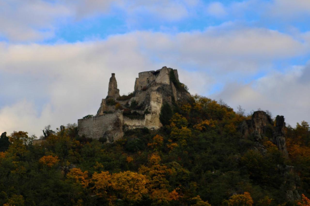 شقة Haus-Donau In Der Wachau Aggsbach المظهر الخارجي الصورة