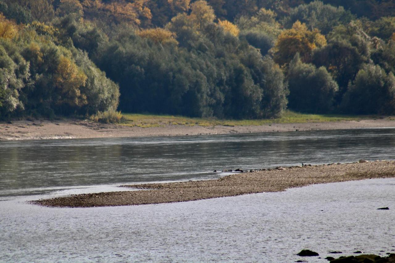 شقة Haus-Donau In Der Wachau Aggsbach المظهر الخارجي الصورة