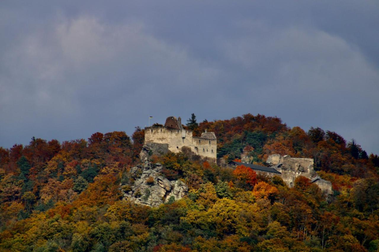 شقة Haus-Donau In Der Wachau Aggsbach المظهر الخارجي الصورة