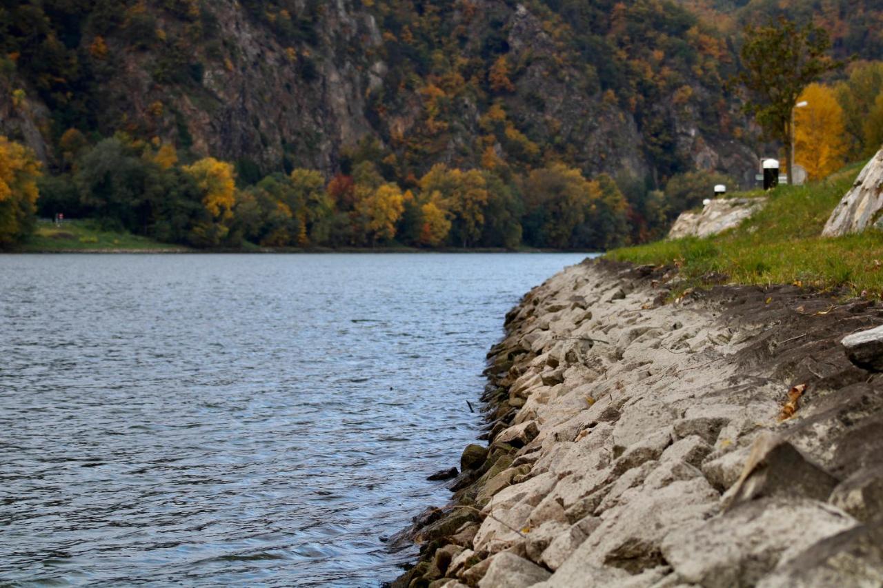 شقة Haus-Donau In Der Wachau Aggsbach المظهر الخارجي الصورة